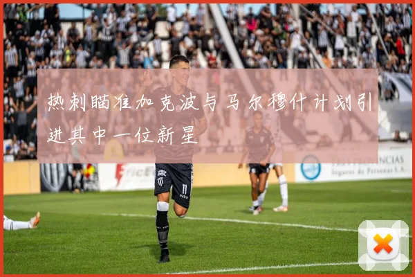 热刺瞄准加克波与马尔穆什计划引进其中一位新星